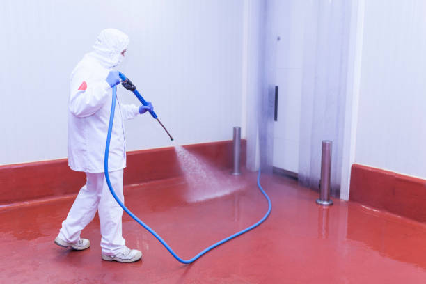 Best Pool Deck Cleaning  in Crestwood, IL